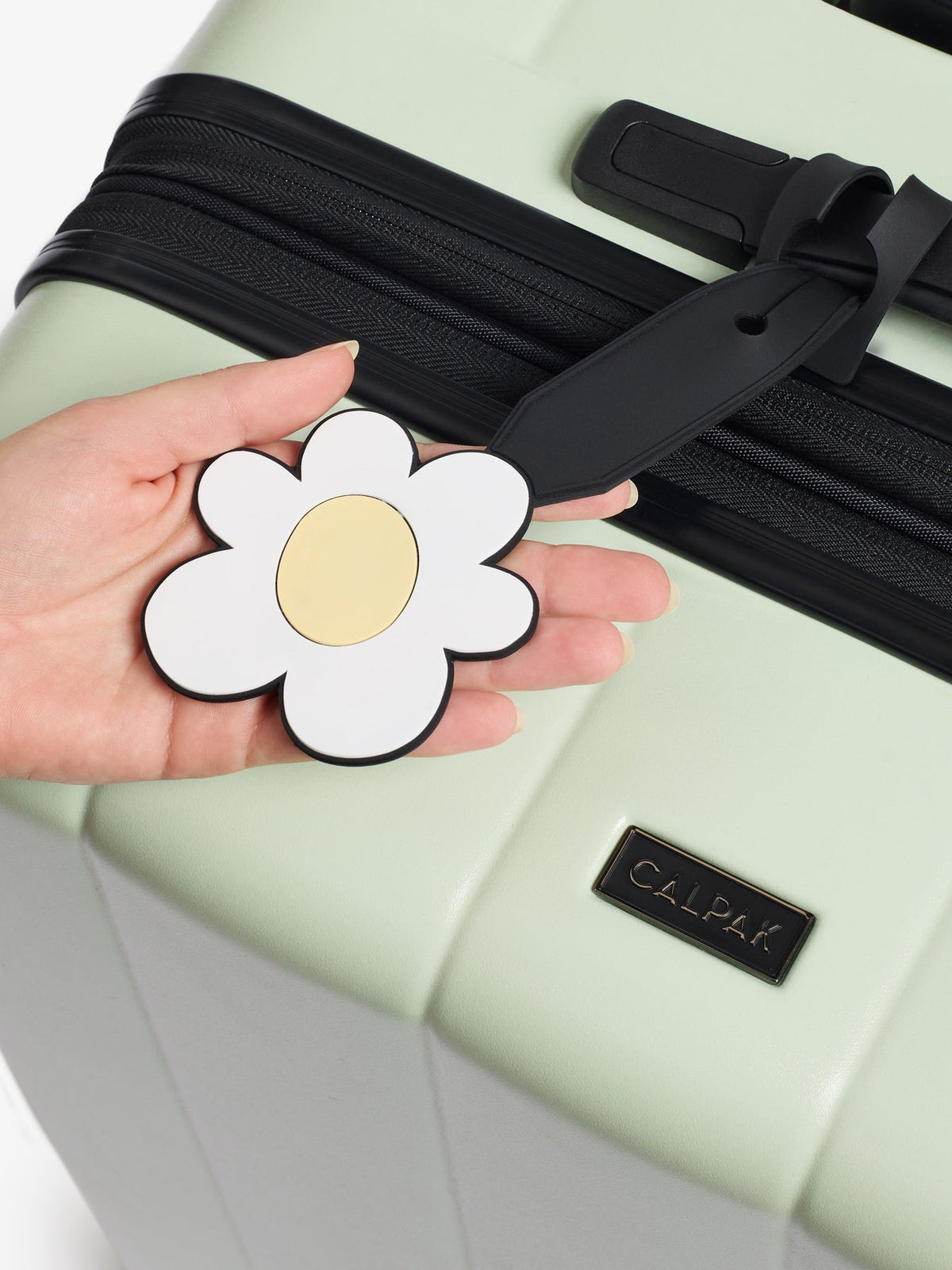 CALPAK Evry Starter Bundle with included luggage tag in daisy; LCO8000-DAISY